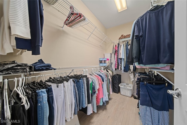 walk in closet with hardwood / wood-style flooring