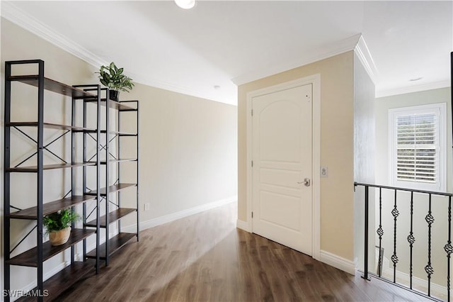 corridor with dark wood-type flooring and ornamental molding