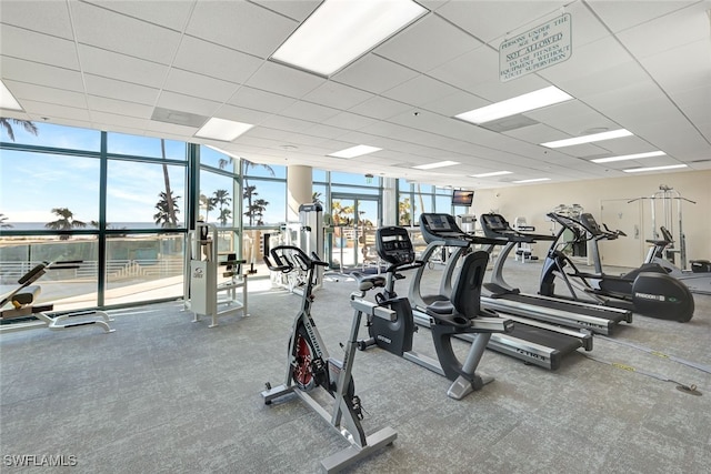 exercise room featuring carpet, a drop ceiling, and expansive windows