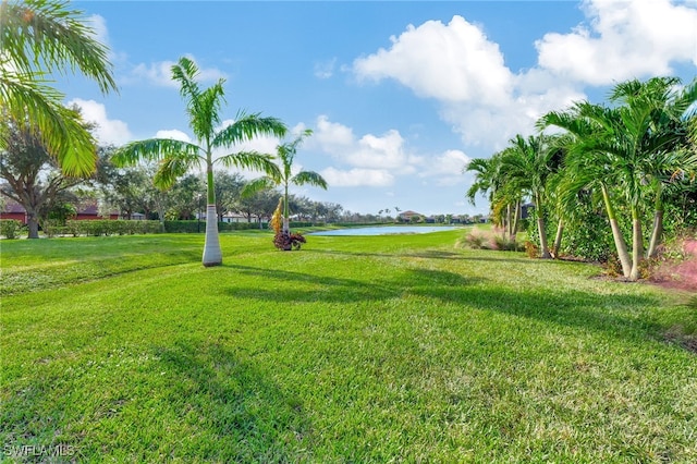 view of yard featuring a water view