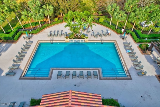 view of swimming pool featuring a patio