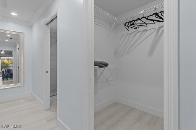 walk in closet with light hardwood / wood-style floors