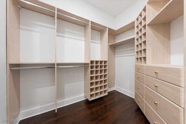 walk in closet featuring dark hardwood / wood-style floors