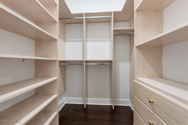 spacious closet featuring dark hardwood / wood-style flooring