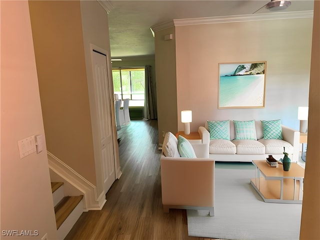 living room with crown molding and dark hardwood / wood-style flooring