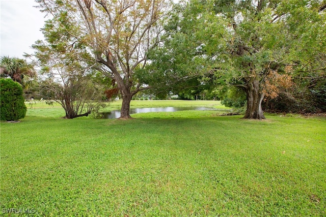 view of yard with a water view