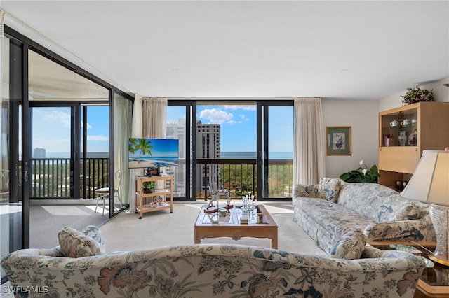 carpeted living room with a wall of windows