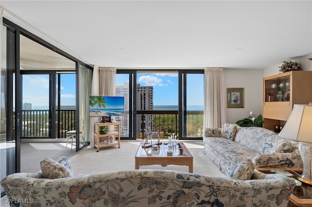 living room with carpet and floor to ceiling windows