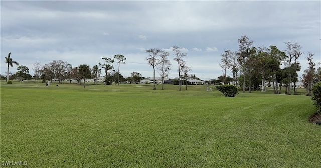 view of community featuring a yard