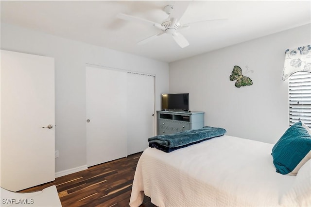 bedroom featuring dark hardwood / wood-style flooring, a closet, and ceiling fan