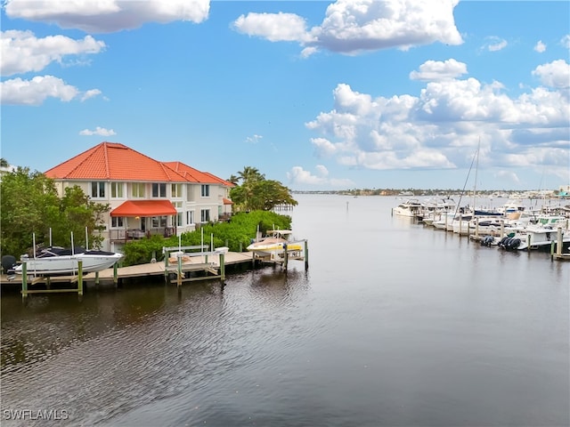 dock area with a water view