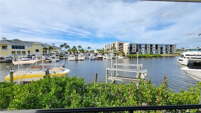 view of water feature with a dock