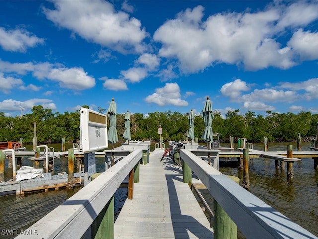 dock area with a water view