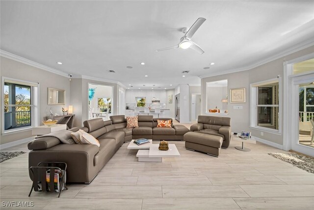 living room featuring ceiling fan and crown molding