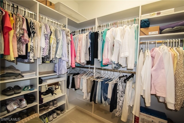 view of walk in closet