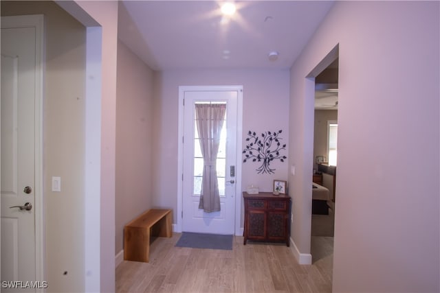 entrance foyer with light wood-type flooring and a wealth of natural light