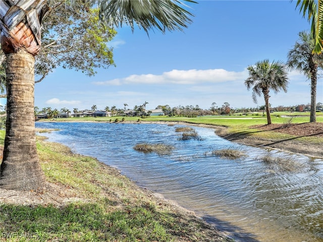 property view of water