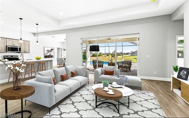 living room featuring light wood-type flooring, a tray ceiling, and sink