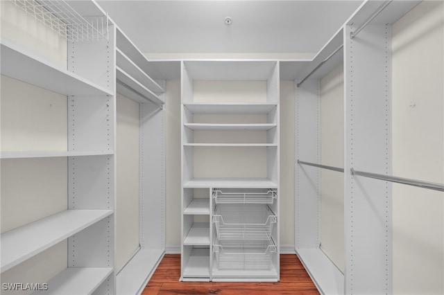 spacious closet featuring wood-type flooring