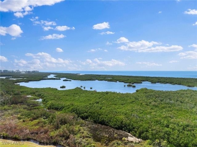 1001 Arbor Lake Dr Unit 307, Naples, FL 34110 - water view featuring a heavily wooded area