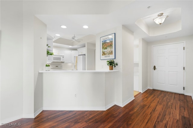 foyer with a raised ceiling, ceiling fan, and dark hardwood / wood-style floors