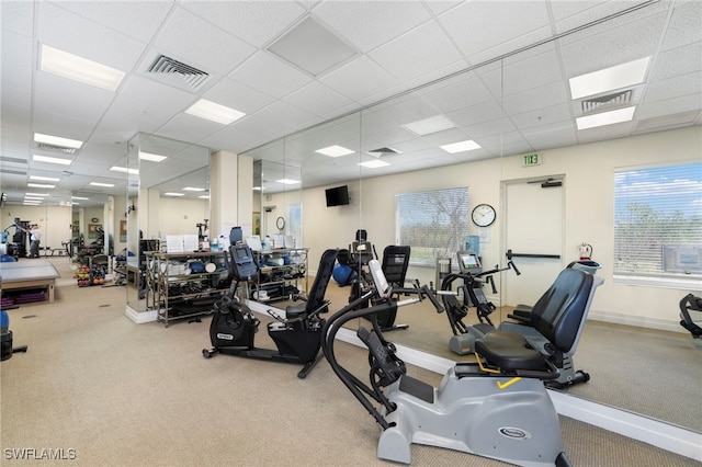 exercise room featuring a paneled ceiling, carpet, and a healthy amount of sunlight