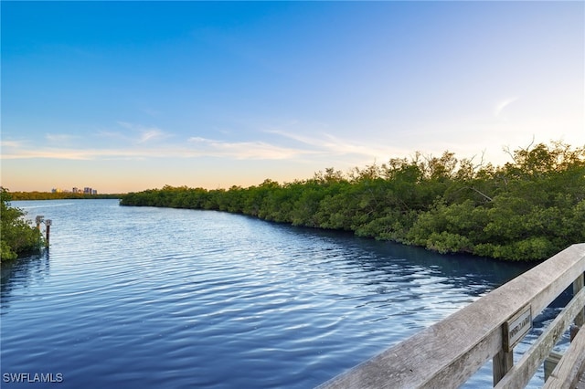 property view of water