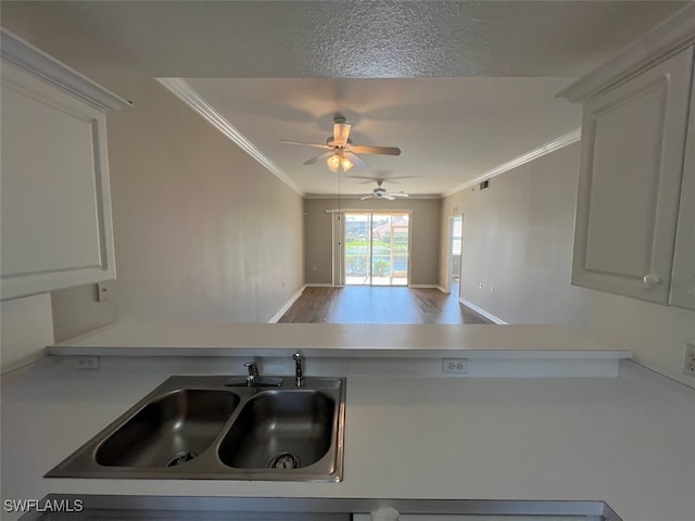 kitchen with white cabinetry, ceiling fan, ornamental molding, and sink