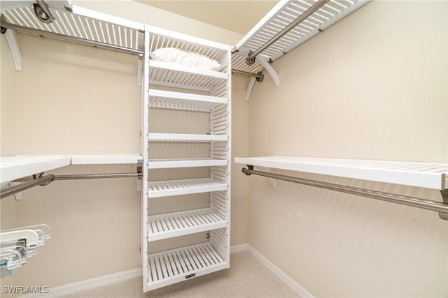 spacious closet featuring carpet floors