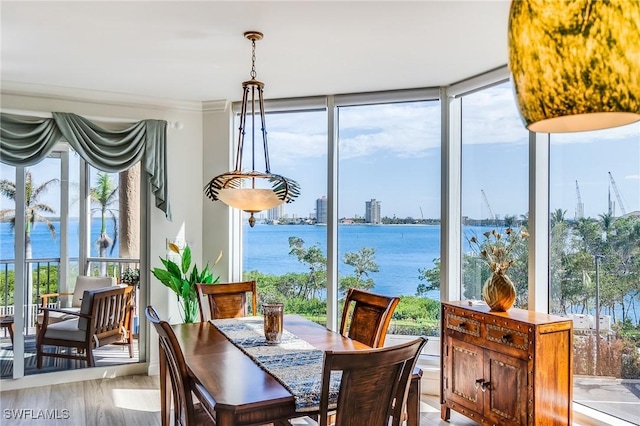 dining area with plenty of natural light, a water view, and light hardwood / wood-style flooring