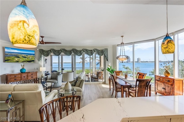 dining room featuring ceiling fan, a water view, a healthy amount of sunlight, and light wood-type flooring