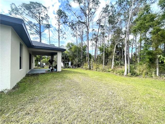 view of yard featuring a patio