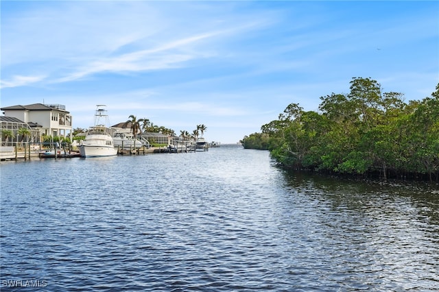 property view of water with a boat dock