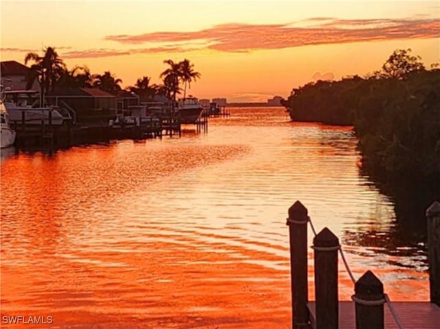 water view featuring a dock