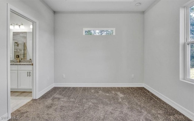 empty room featuring light colored carpet and a wealth of natural light