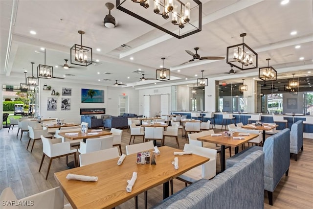 dining space featuring a tray ceiling, ceiling fan with notable chandelier, and light hardwood / wood-style flooring