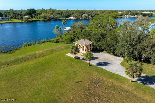 bird's eye view featuring a forest view and a water view