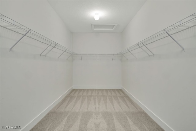 walk in closet featuring carpet floors