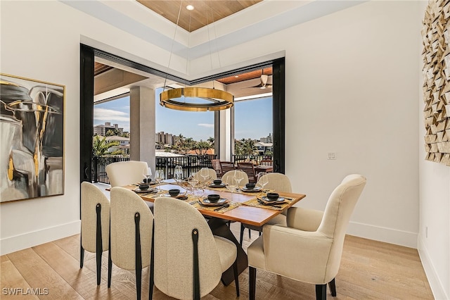 dining room with a tray ceiling and light hardwood / wood-style flooring