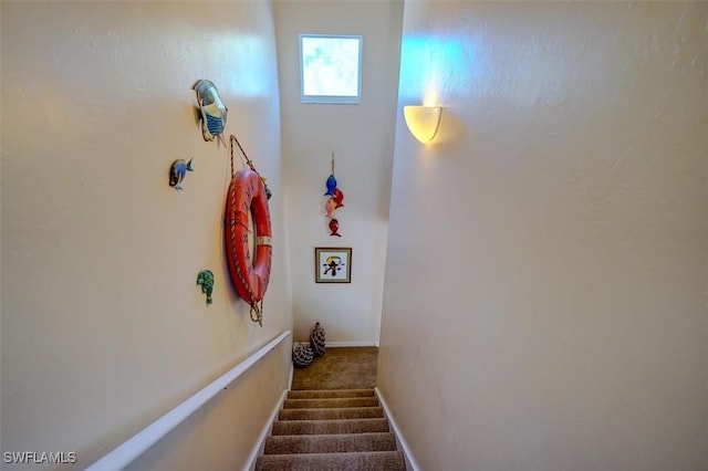 stairway featuring carpet flooring