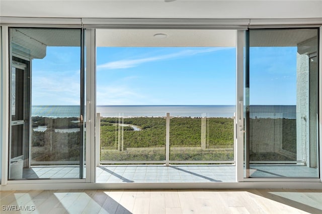 doorway with a water view and wood-type flooring