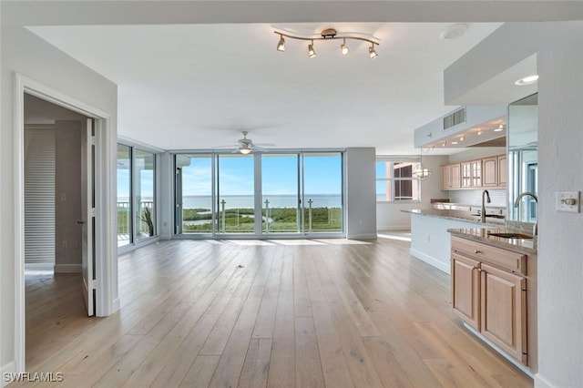 interior space with light wood-type flooring, a wealth of natural light, sink, and light stone counters