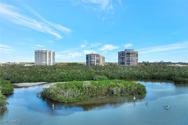 property view of water