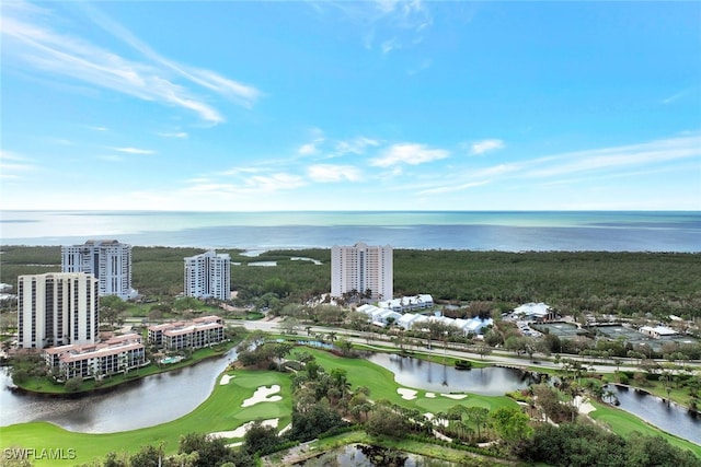 aerial view with a water view