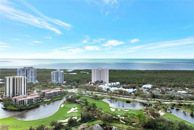 6101 Pelican Bay Blvd Unit 1402, Naples, FL 34108 - photo 35