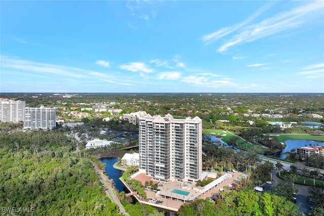 6101 Pelican Bay Blvd Unit 1402, Naples, FL 34108 - photo 36