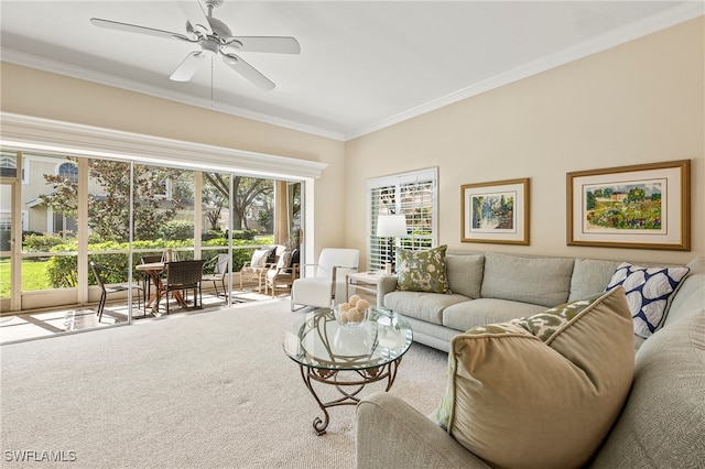 carpeted living room with ceiling fan and ornamental molding