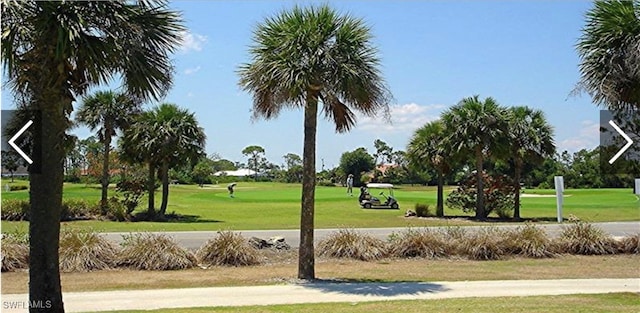 view of property's community with a lawn