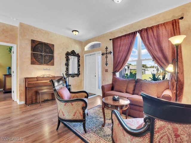 living room featuring light hardwood / wood-style flooring