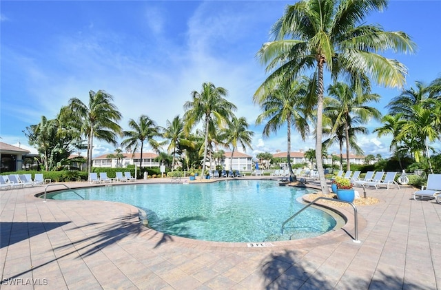 view of swimming pool featuring a patio